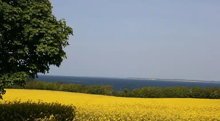 Ferielejlighed i Damshagen