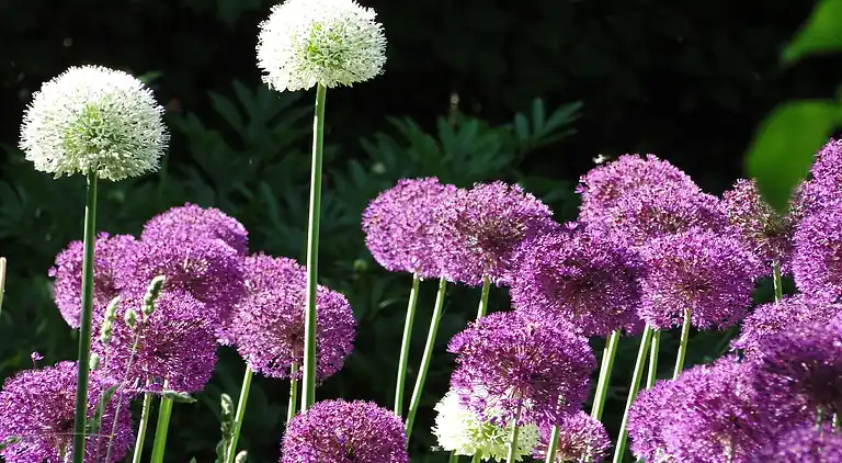 Apartment in Boiensdorf