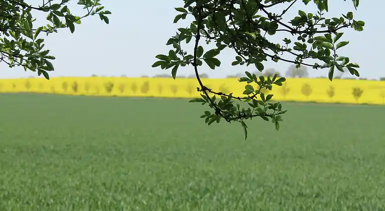 Apartment in Redewisch