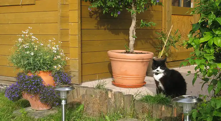 Ferielejlighed i Brusow