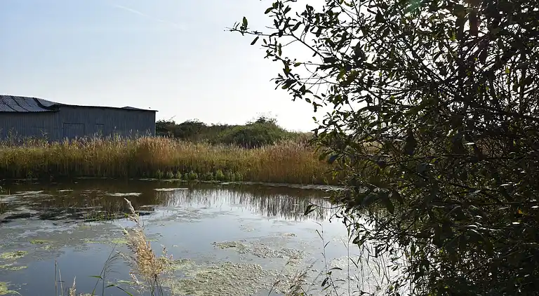 Sommerhus i Beiershagen