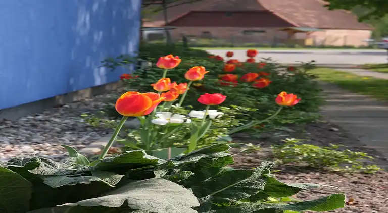 Apartment in Pruchten