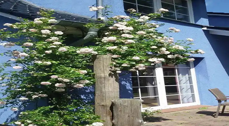 Apartment in Pruchten