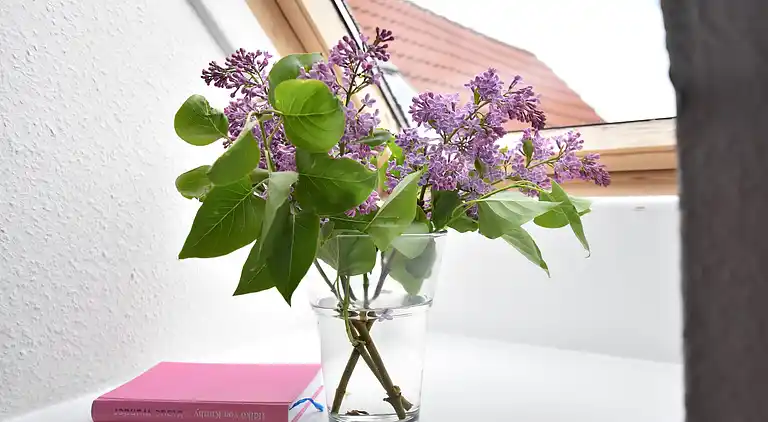 Apartment in Fahrdorf