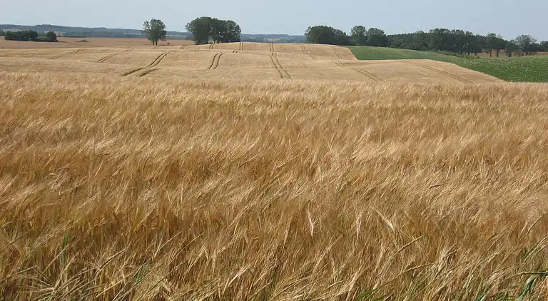 Ferielejlighed i Brusow