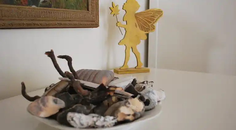 Apartment in Boiensdorf