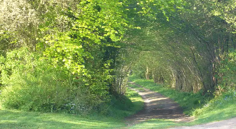 Holiday home in Satow
