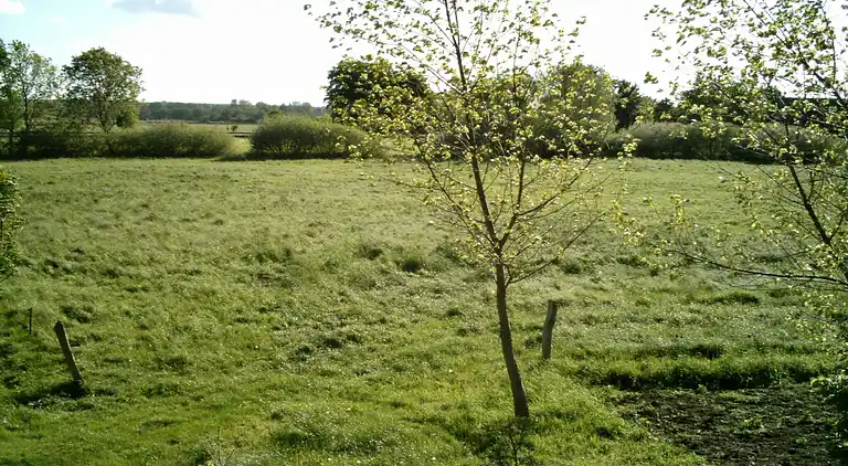 Bungalow in Rethwisch