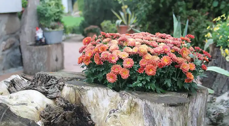 Manor house in Kägsdorf