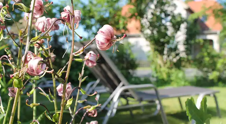 Apartment in Kröpelin