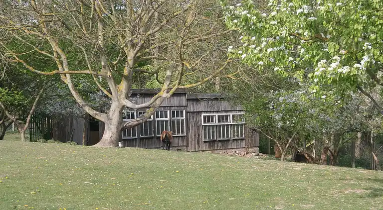 Apartment in Alt Farpen