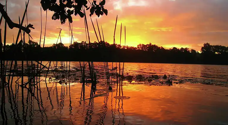 Bungalow i Klein Labenz