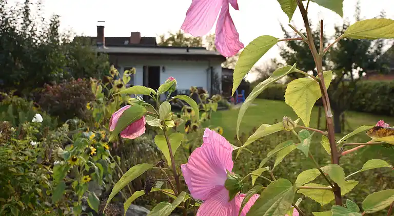 Bungalow i Alt Farpen