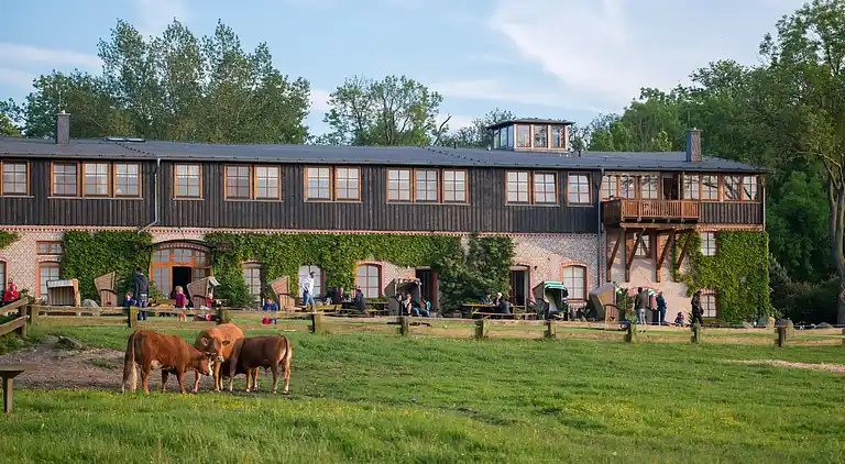 Ferielejlighed i Kägsdorf