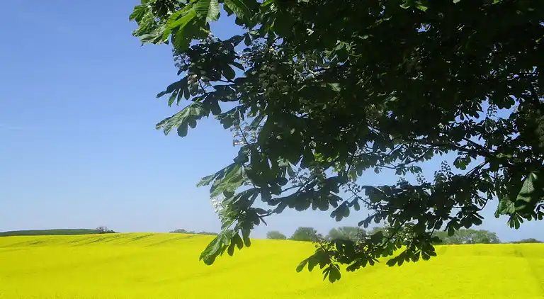 Apartment in Kröpelin
