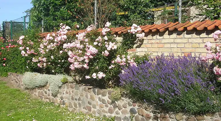 Ferielejlighed i Niederklutz