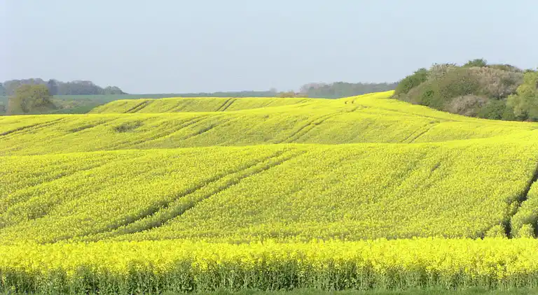 Holiday home in Satow