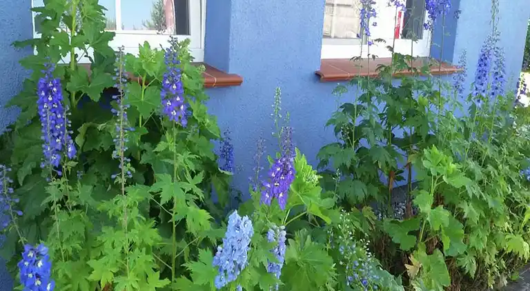 Apartment in Pruchten