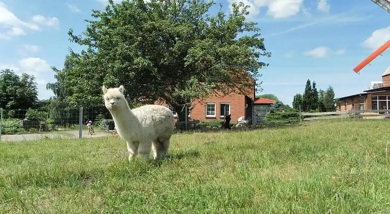 Ferielejlighed i Neubukow