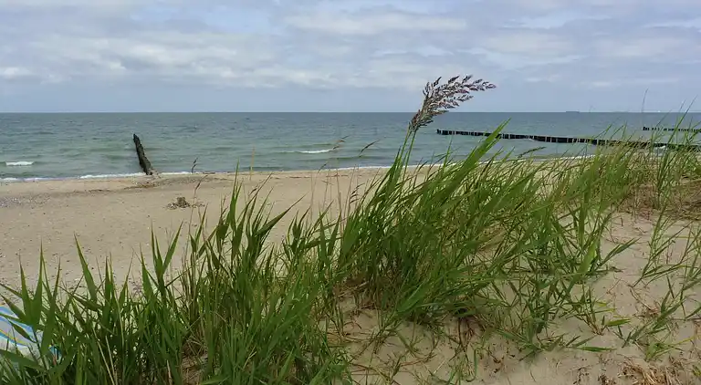 Sommerhus i Börgerende