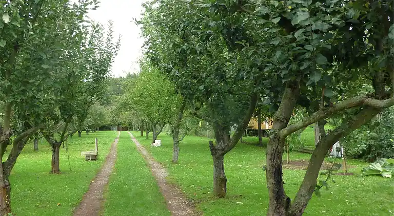 Sommerhus i Weddersleben
