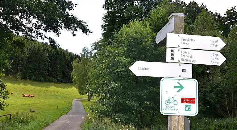 Holiday home in Usseln