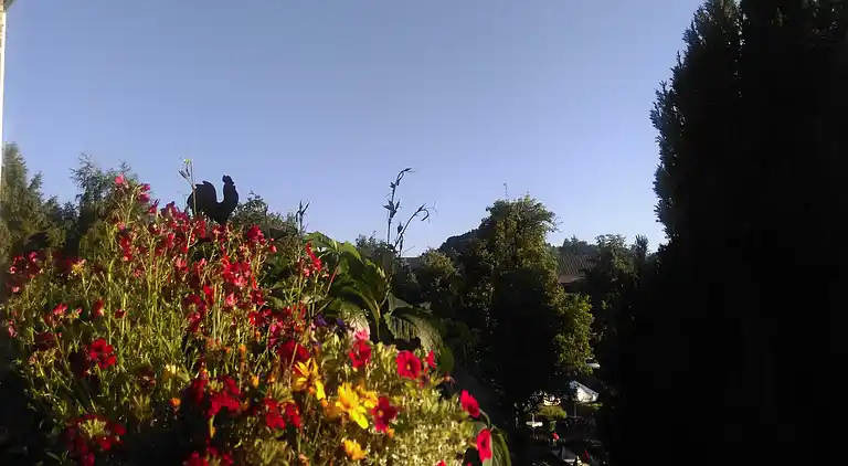 Ferielejlighed i Usseln