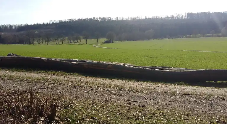 Ferielejlighed i Merlsheim