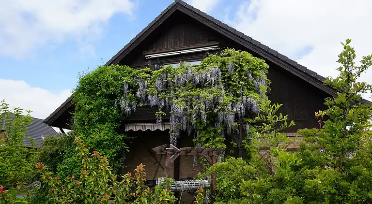 Ferielejlighed i Neu Lüdershagen