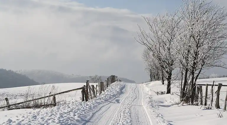 Holiday home in Usseln