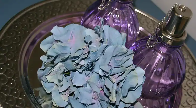 Holiday home in Rhauderfehn