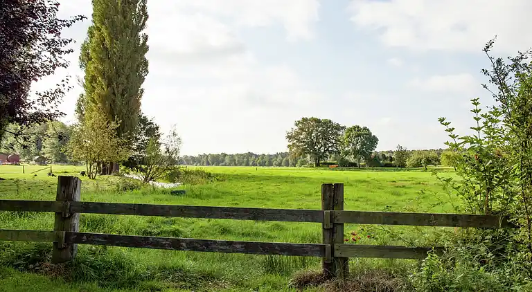 Holiday home in Wienhausen