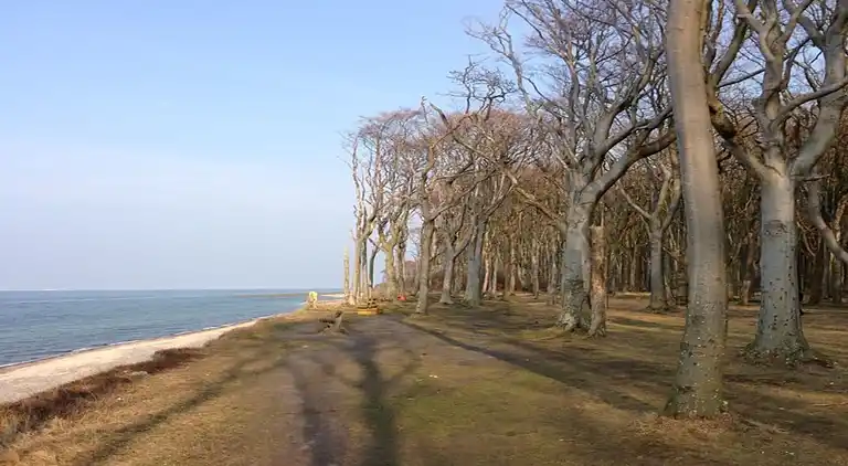 Ferielejlighed i Nienhagen