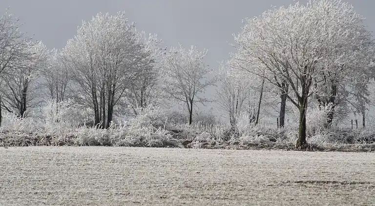 Holiday home in Usseln