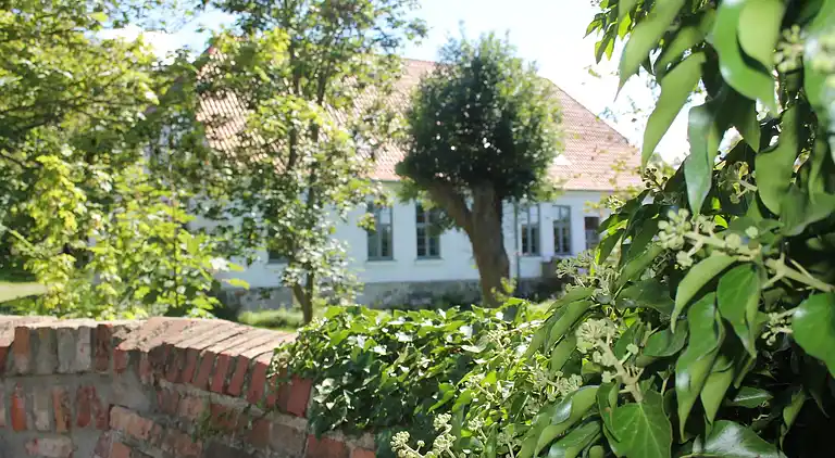 Apartment in Brodhagen