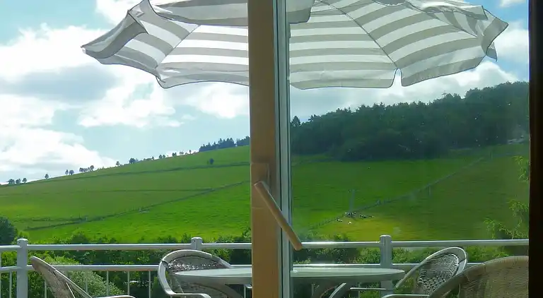 Apartment in Willingen (Upland)