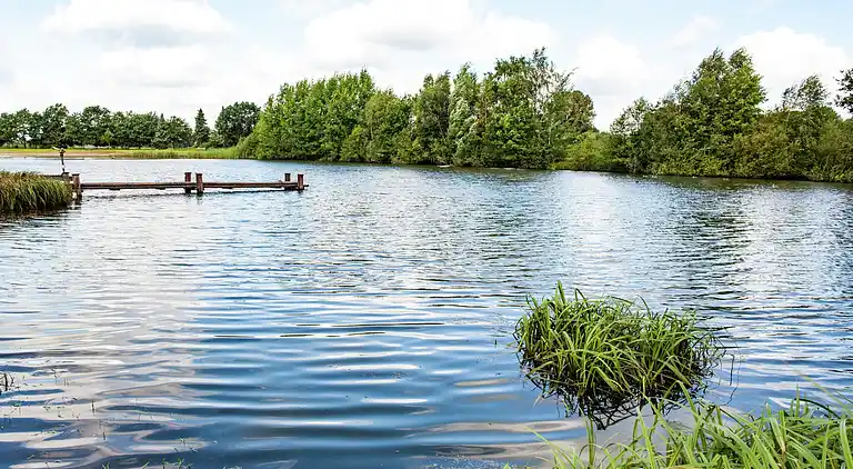 Holiday home in Wienhausen
