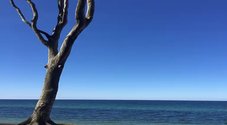 Apartment in Nienhagen