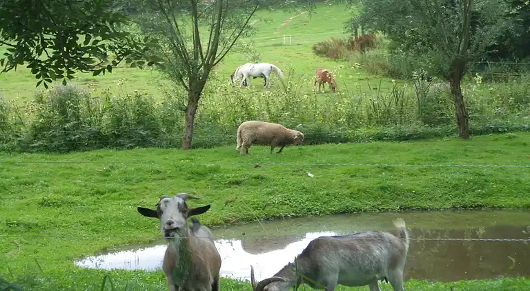 Apartment in Kröpelin