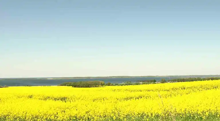 Apartment in Boiensdorf