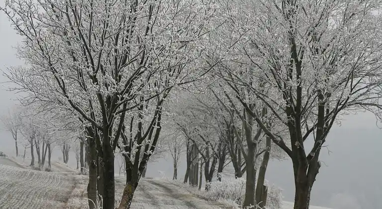 Holiday home in Usseln