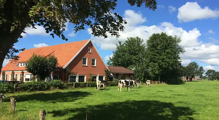 Holiday home in Rhauderfehn