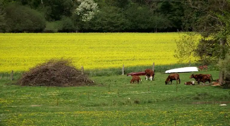 Apartment in Forkenbeck