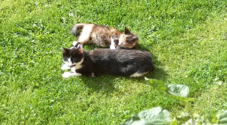 Ferielejlighed i Kröpelin