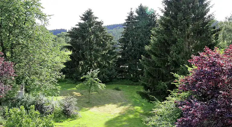 Holiday home in Neustraßburg