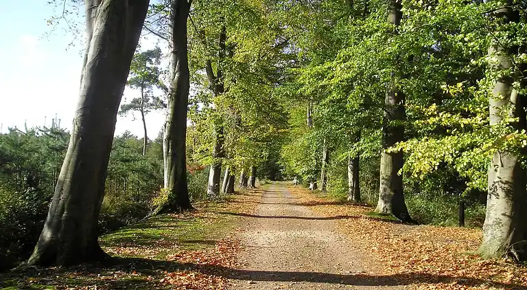 Villa in Ferienpark Gut Langen