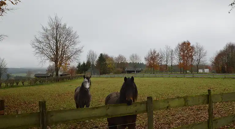 Herregård i Kalterherberg