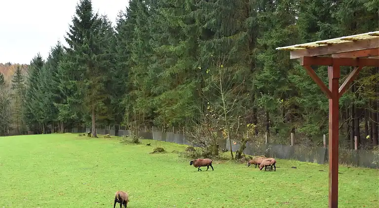 Holiday home in Altenbrak