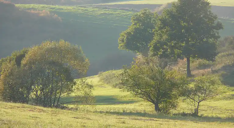 Sommerhus i Gelenberg