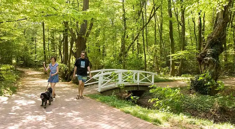 Villa i Ferienpark Gut Langen